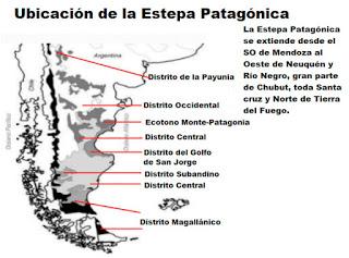 Estepa Patagónica un místico viaje al pasado, lleno de historias, recuerdos y misterio.