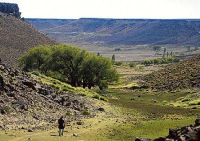 Estepa Patagónica un místico viaje al pasado, lleno de historias, recuerdos y misterio.