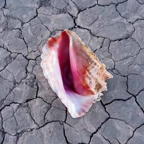 The Killers y Taylor Swift encabezan las listas de ventas mundiales Wonderful Wonderful