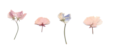 Callar también es una opción. Callar también es una opción.