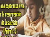 Hubiese Sabido…
