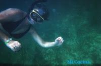 VIDEO Y EXPLICACION DE COMO LIMPIAR, PREPARAR Y CONSUMIR LAS CONCHAS FINAS DE MALAGA