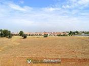 huertos urbanos Montequinto salen concurso