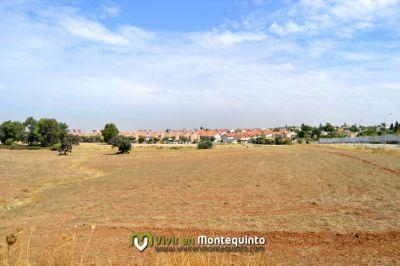 Los huertos urbanos de Montequinto salen a concurso Los huertos urbanos de Montequinto salen a concurso