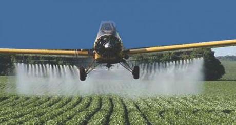 S.O.S. BEES: Encuentran rastros de pesticidas en el 75% de muestras de miel de todo el mundo.