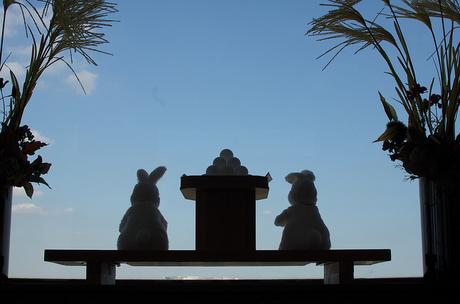 Tsukimi, observando la luna en Japón