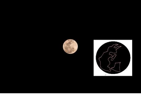 Tsukimi, observando la luna en Japón