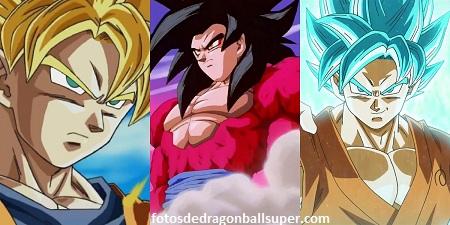 imagenes de goku y todas sus fases transformado