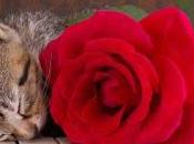 Recuerdo septiembre...