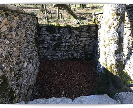 Lobera Monte Santiago