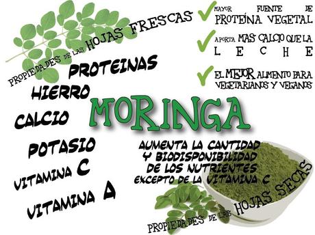 Moringa Olifera: Que es y para que sirve, Propiedades, Usos y Cultivo