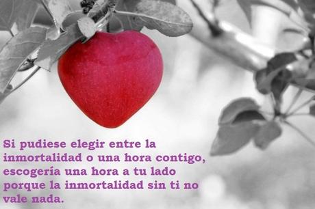 Imágenes con frases para Enamorar a un Hombre Imágenes con frases para Enamorar a un Hombre