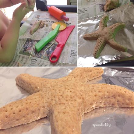 Estrella de Mar con Pasta de Sal