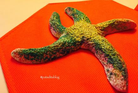 Estrella de Mar con Pasta de Sal