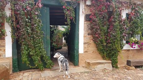 Castrillo de los Polvazares. León.