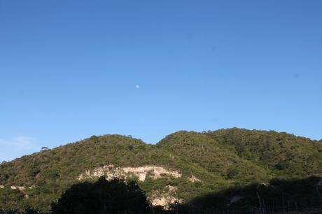 Dios hizo la naturaleza en su justa medida.