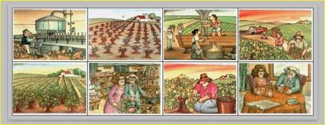 Secuencias temporales 2