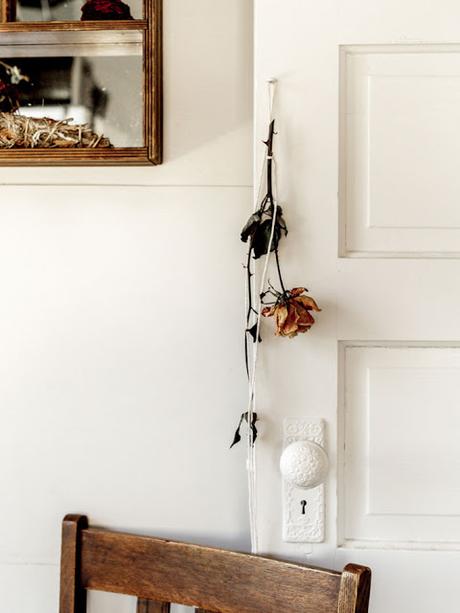 Una rosa es mucho más...