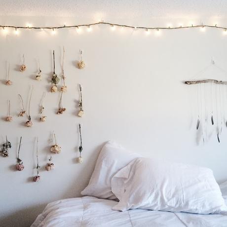 Una rosa es mucho más...