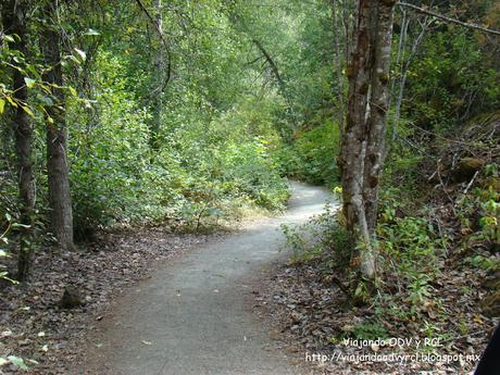 Brandywine falls, Bunge Bridge Trail. Viajando ODV y RCL  http://viajandoodvyrcl.blogspot.mx