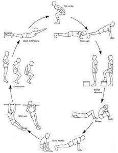 Ejercicios en estaciones donde se realiza un descanso pequeño entre estaciones y un descanso grande cuando se llega a la estación donde se comenzó.