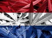 Educación Holandesa