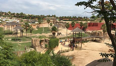 Terra Natura: Un parque de animales único en Benidorm