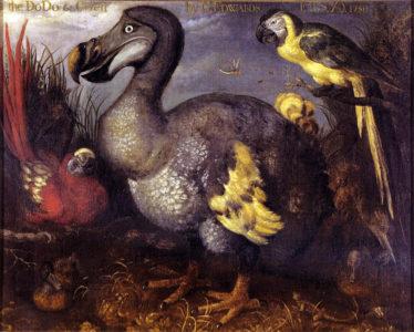 Dodo pintado por Roelandt Savery en 1626