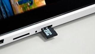 ANIMALES DOMÉSTICOS - TERESA VIEJO