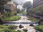 semana Hakone (箱根)