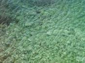 MORIR (España, 2017) Drama