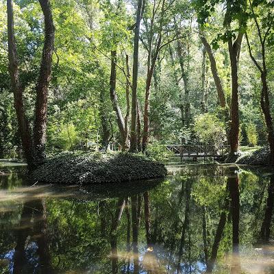 PARQUE NATURAL MONASTERIO DE PIEDRA