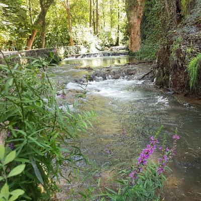 PARQUE NATURAL MONASTERIO DE PIEDRA