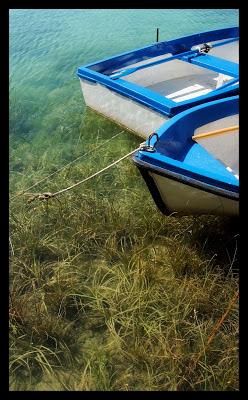 Lago de Banyoles (Girona)