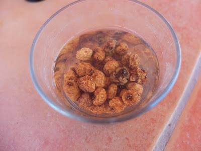 CHUFAS, UNA EXPERIENCIA MUY POSITIVA EN MI HUERTO.