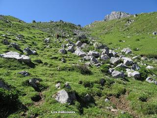 Tuiza Riba-Alto los Camisos-Meicín-Cerreo-Las Rubias-Axeite