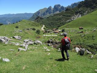 Tuiza Riba-Alto los Camisos-Meicín-Cerreo-Las Rubias-Axeite