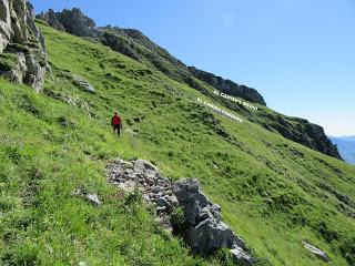 Tuiza Riba-Alto los Camisos-Meicín-Cerreo-Las Rubias-Axeite