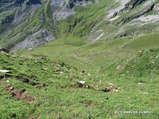 Tuiza Riba-Alto los Camisos-Meicín-Cerreo-Las Rubias-Axeite