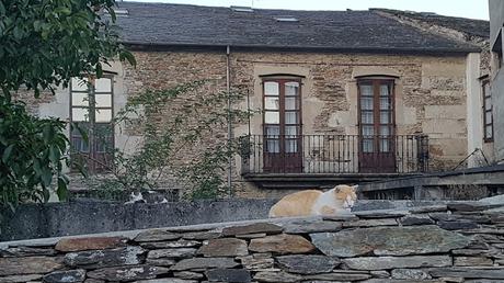 Lugo. Lugo.