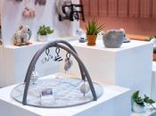 Sorteo done deer, conoce todas novedades