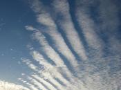 ¡¡CIELOS LIMPIOS BIOCULTURA!! AYÚDANOS INFORMAR.