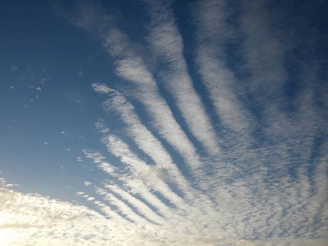 ¡¡CIELOS LIMPIOS en BIOCULTURA!! AYÚDANOS  a INFORMAR.