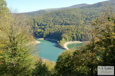 Escapada Otoñal: País Vasco Francés y Selva de Irati