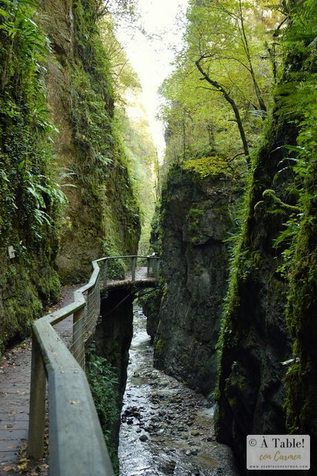 Escapada Otoñal: País Vasco Francés y Selva de Irati