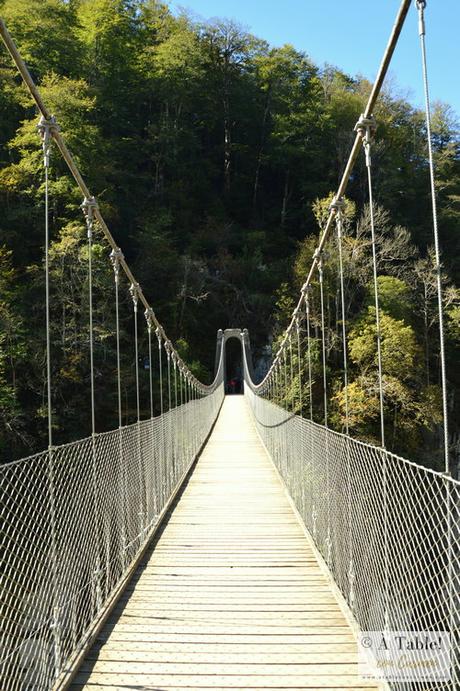 Escapada Otoñal: País Vasco Francés y Selva de Irati