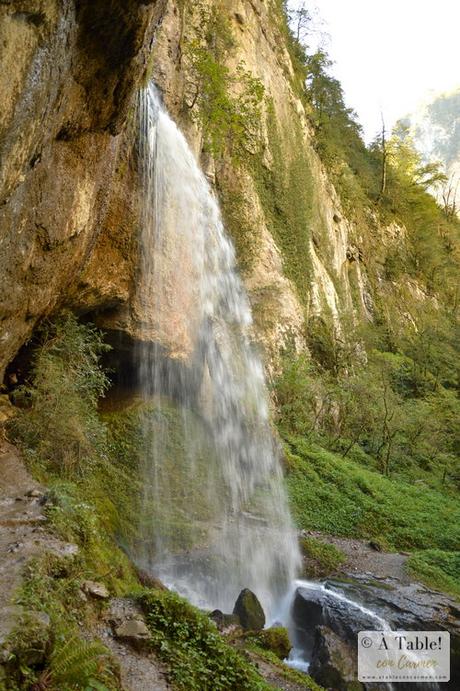 Escapada Otoñal: País Vasco Francés y Selva de Irati