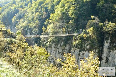 Escapada Otoñal: País Vasco Francés y Selva de Irati