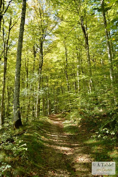 Escapada Otoñal: País Vasco Francés y Selva de Irati