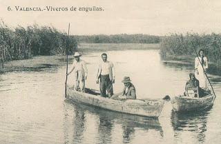 CAÑAS Y BARRO